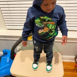 Boys Dinosaur Hoodie